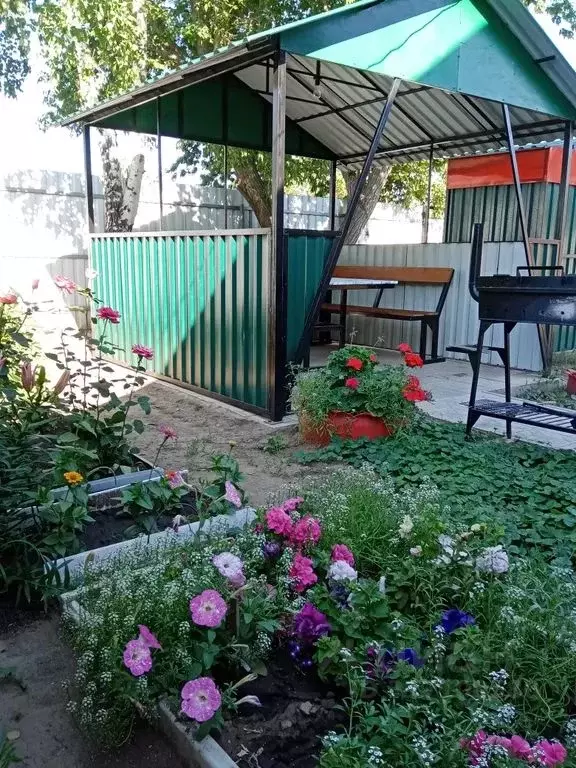 Дом в Алтайский край, Яровое ул. Верещагина, 36 (25 м) - Фото 0