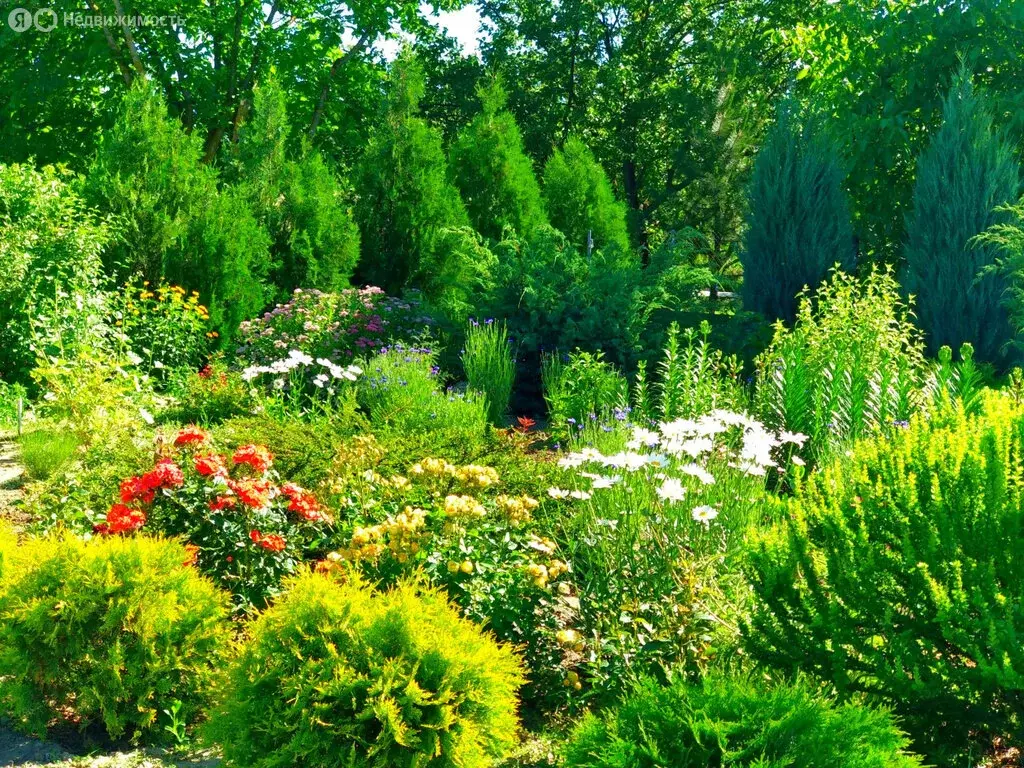 Участок в хутор Калинин, Центральная улица (16.2 м) - Фото 0