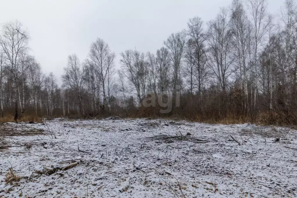 Участок в Тюменская область, Нижнетавдинский муниципальный округ, ... - Фото 1