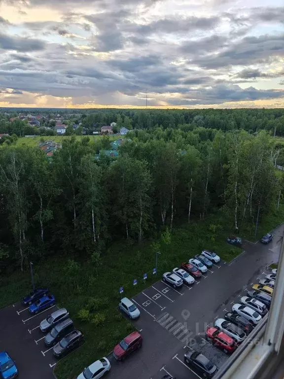 Студия Калужская область, Обнинск просп. Маркса, 99/4 (22.0 м) - Фото 2