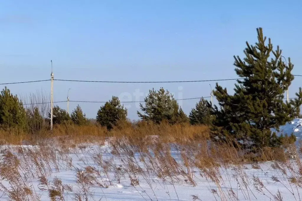 Участок в Новосибирская область, Мошковский район, пос. Октябрьский ... - Фото 1