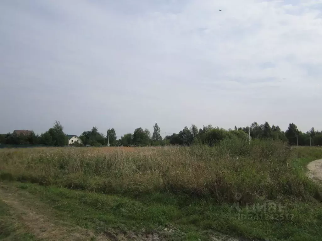 Участок в Тульская область, Алексинский район, с. Сотино  (15.0 сот.) - Фото 2