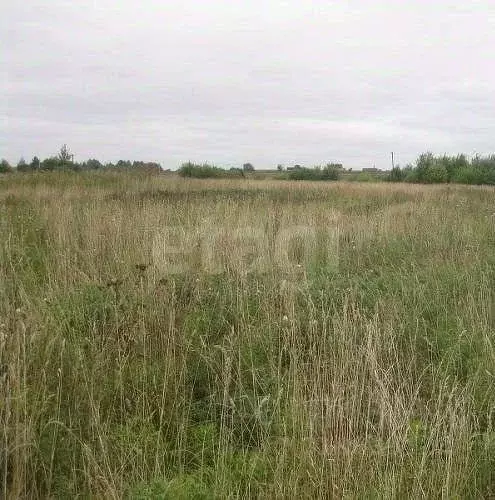 Участок в Мордовия, Саранск  (10.0 сот.) - Фото 0