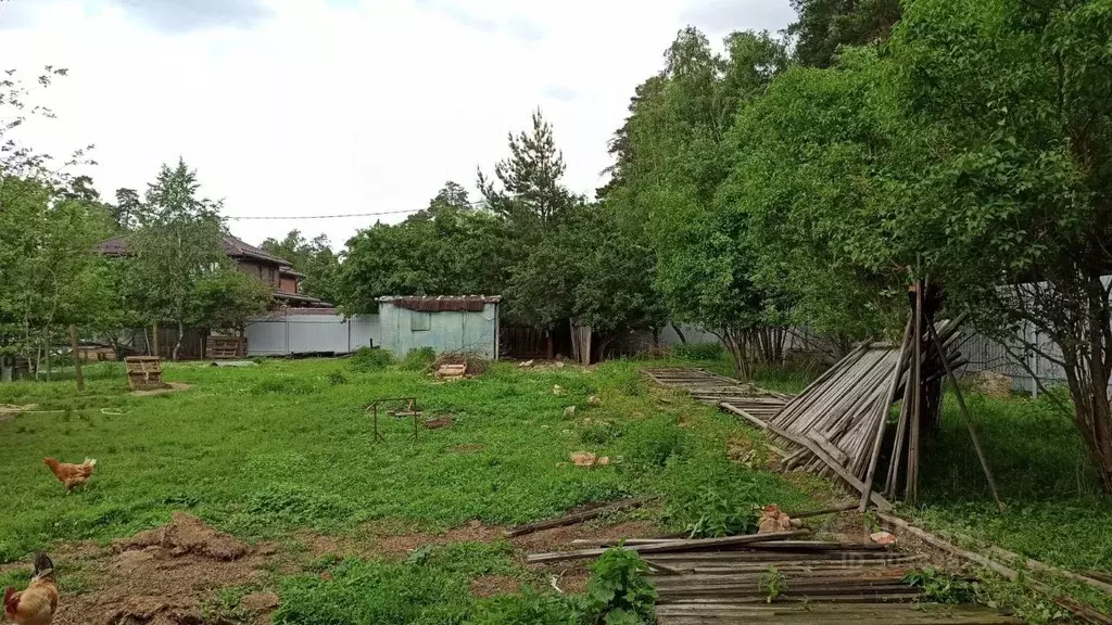 Участок в Московская область, Пушкинский городской округ, пос. Лесные ... - Фото 1