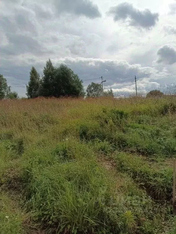 Участок в Московская область, Солнечногорск городской округ, д. ... - Фото 1