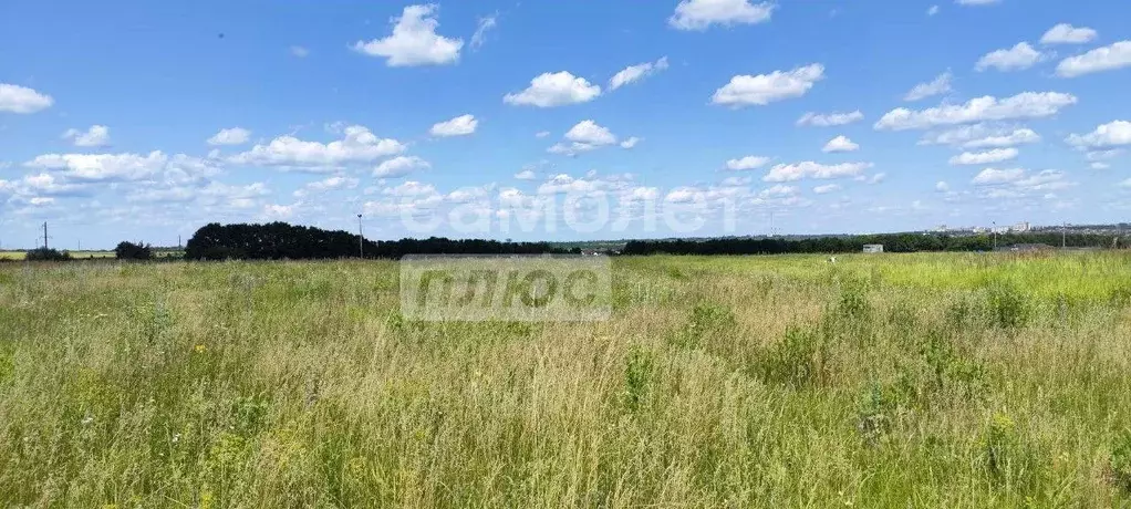 Участок в Курская область, Курский район, Моковский сельсовет, д. 2-я ... - Фото 0