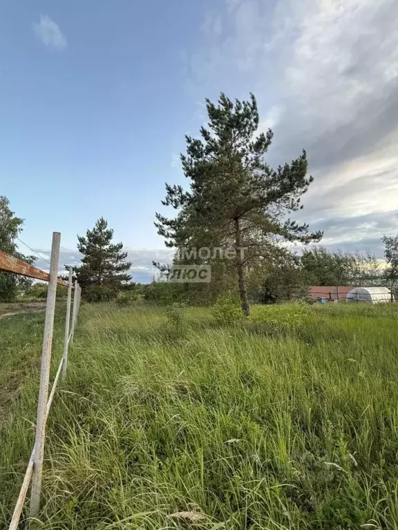 Участок в Воронежская область, Рамонский район, Айдаровское с/пос, с. ... - Фото 1