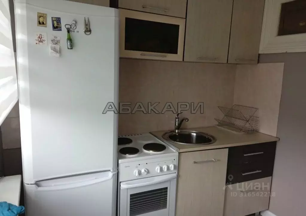 1-к кв. Красноярский край, Красноярск ул. Ленина, 91 (31.0 м) - Фото 0