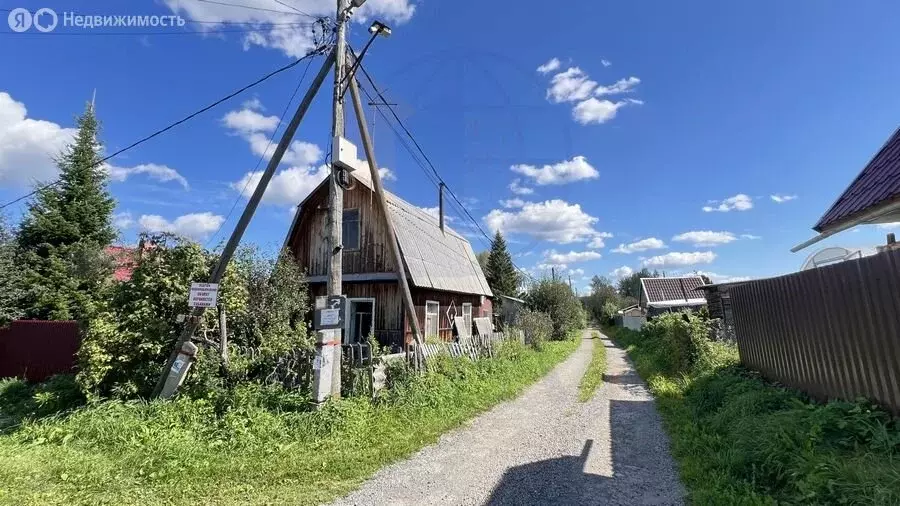 Дом в Тогучинский район, СТ Биолог (40 м) - Фото 0