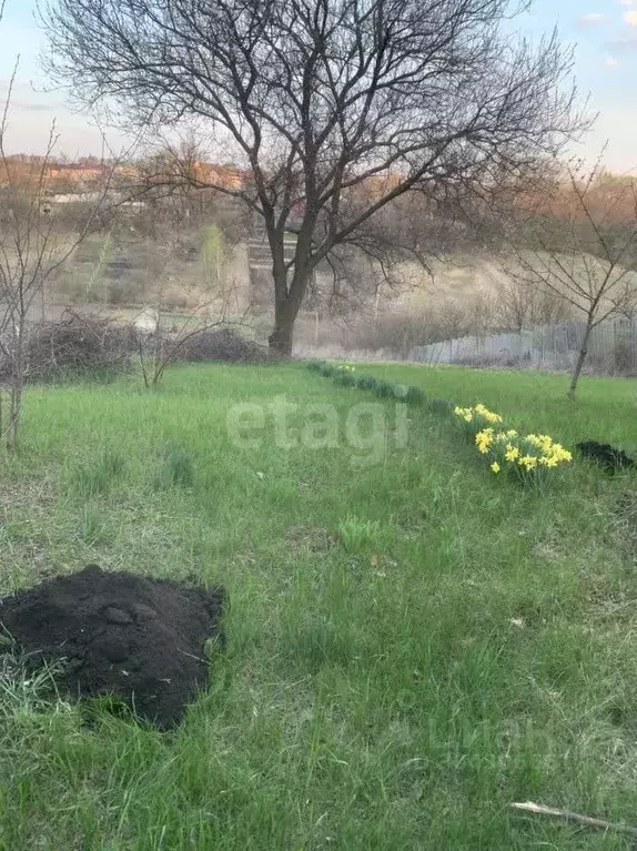 Участок в Белгородская область, Белгородский район, Тавровское с/пос, ... - Фото 0