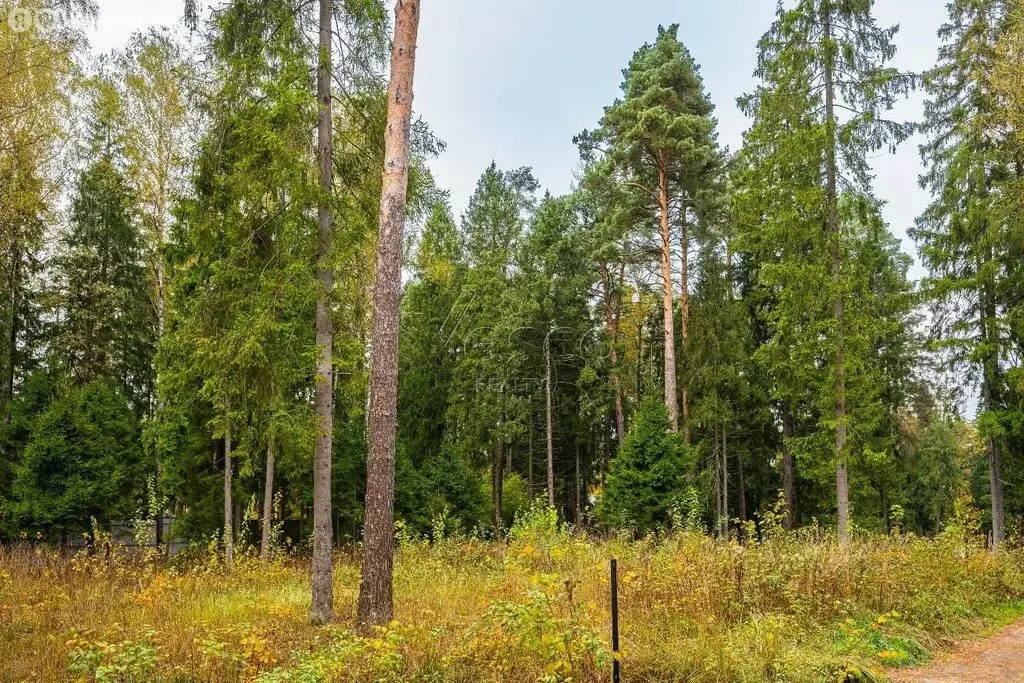 Участок в село Иславское, коттеджный посёлок Геодар (60 м) - Фото 0