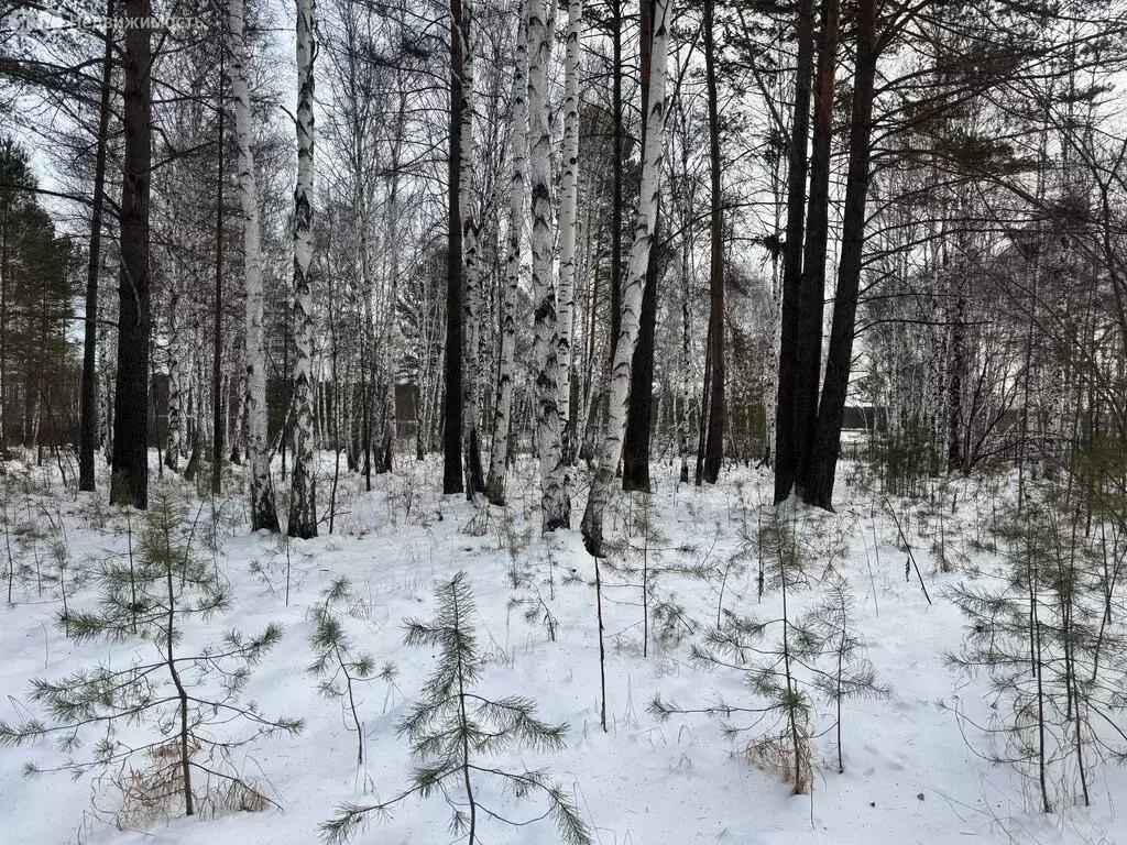 Участок в Иркутск, Байкальский тракт, 8-й километр (50 м) - Фото 2