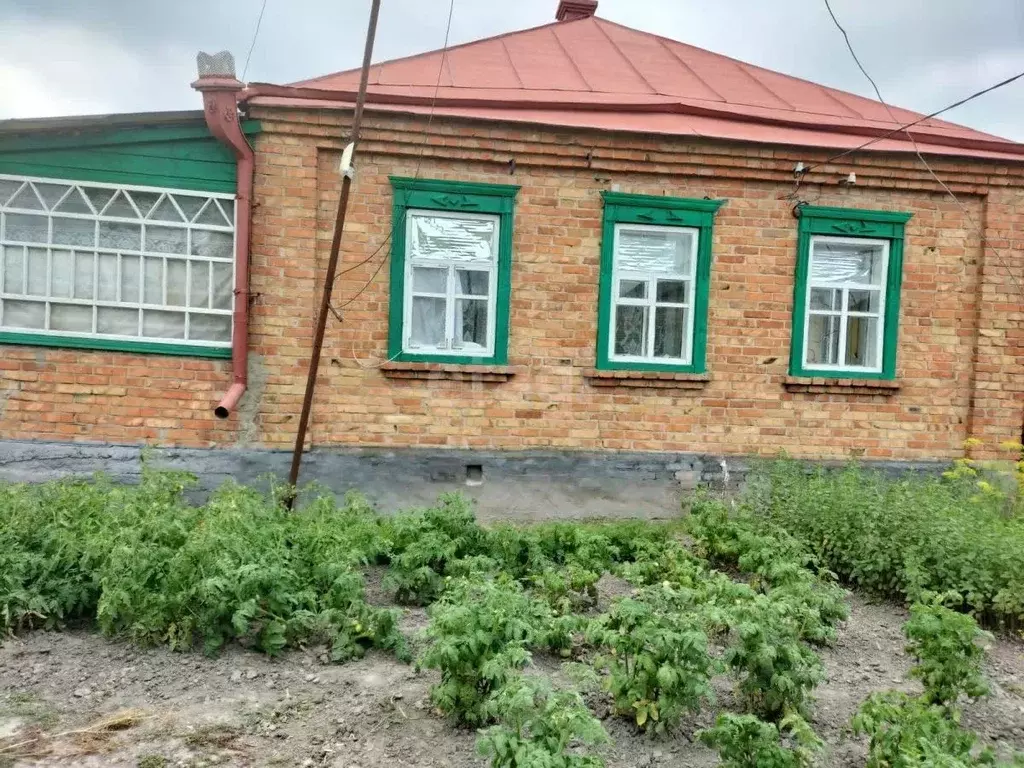 Дом в Белгородская область, Вейделевский район, с. Белый Колодезь  (46 ... - Фото 0