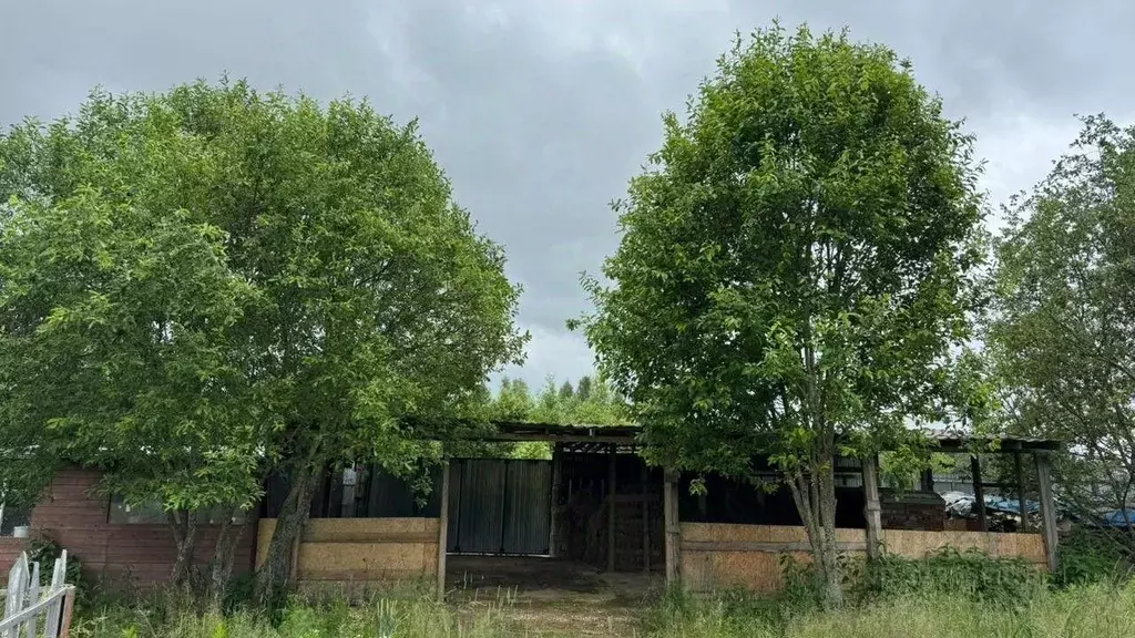 Участок, 305 сот., фермерское хоз-во - Фото 1