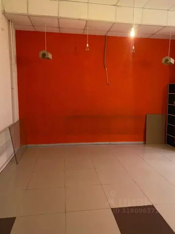 Помещение свободного назначения в Новосибирская область, Новосибирск ... - Фото 2