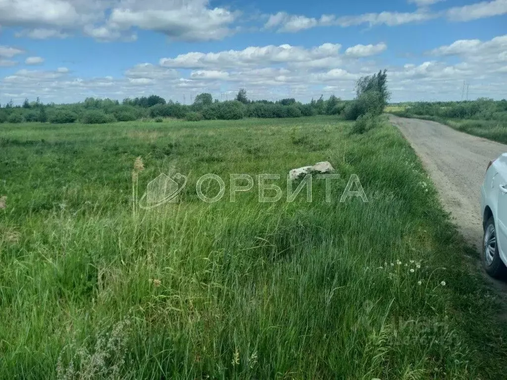 Участок в Тюменская область, Тюменский район, с. Борки ул. ... - Фото 1
