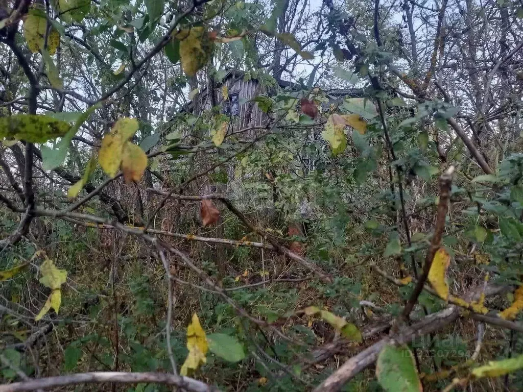 Участок в Курская область, Октябрьский район, Филипповский сельсовет, ... - Фото 2