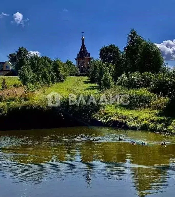Участок в Нижегородская область, Нижний Новгород д. Сартаково,  (5.1 ... - Фото 1