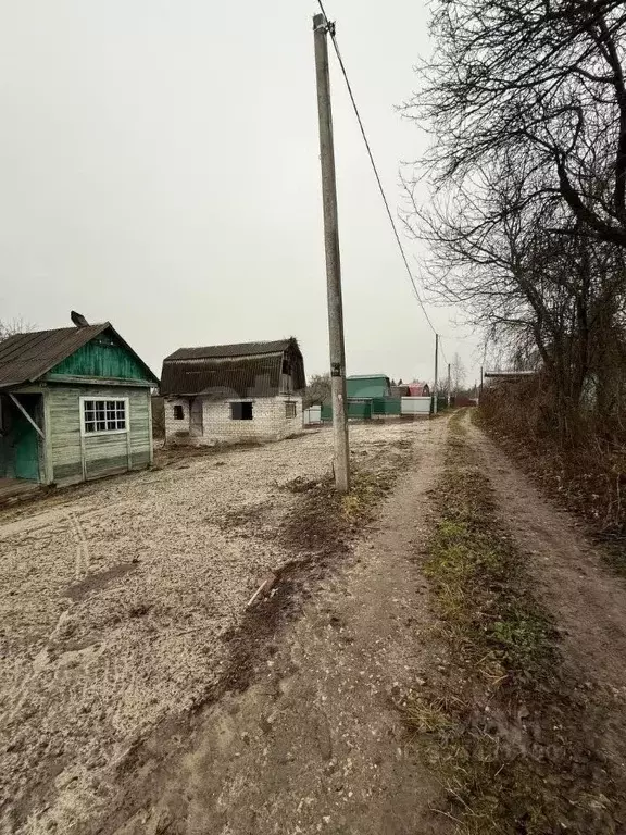 Участок в Брянская область, Брянск Юпитер садовое общество,  (4.28 ... - Фото 1