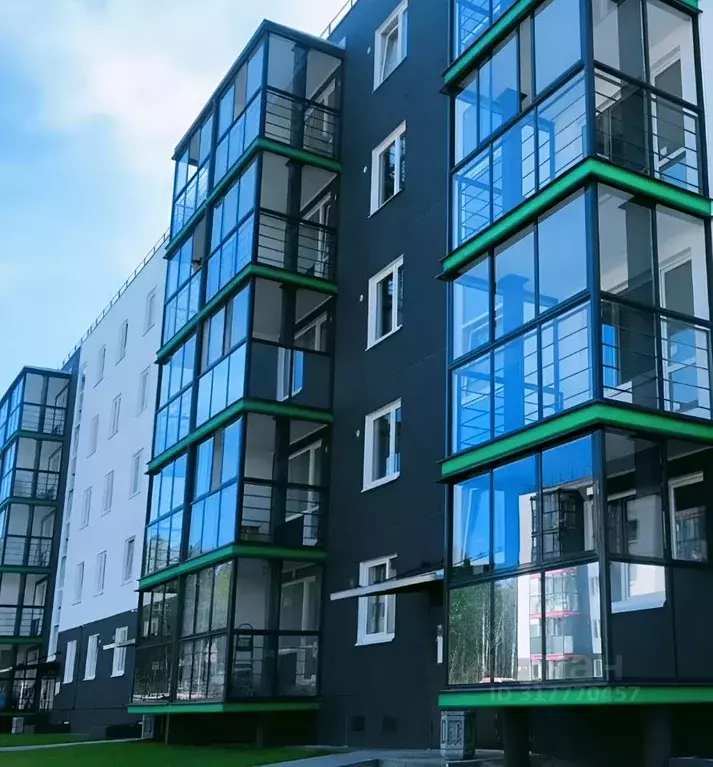 Студия Карелия, Петрозаводск ул. Чистая, 15 (33.5 м) - Фото 0