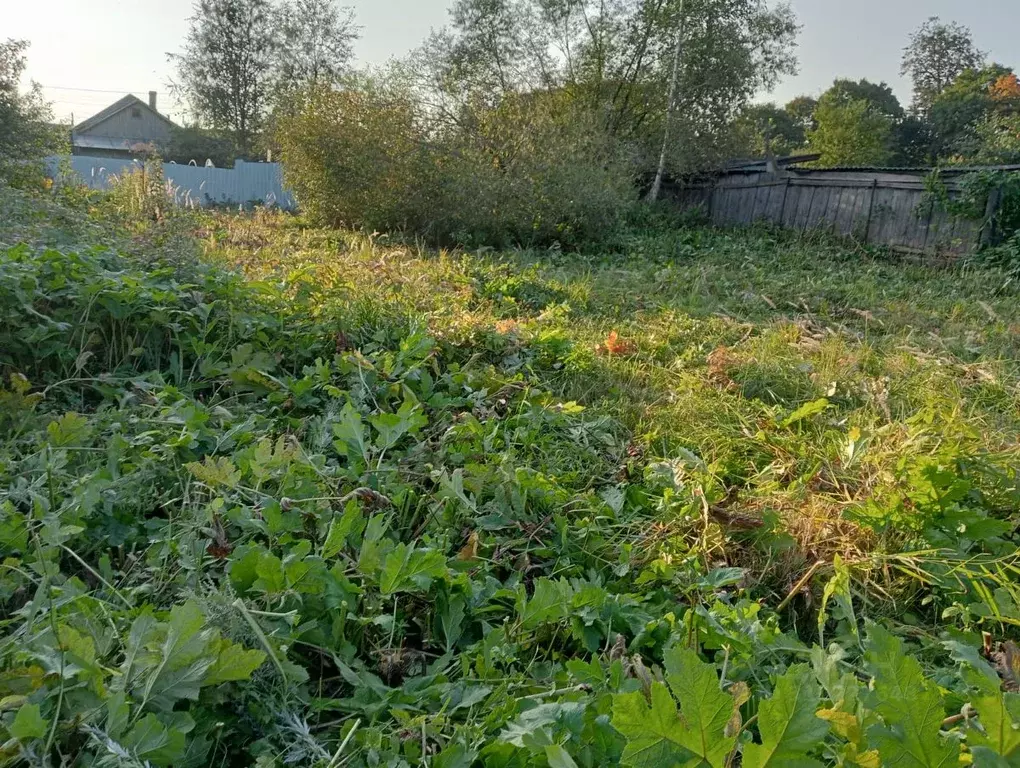 Участок в Московская область, Солнечногорск городской округ, Чашниково ... - Фото 1