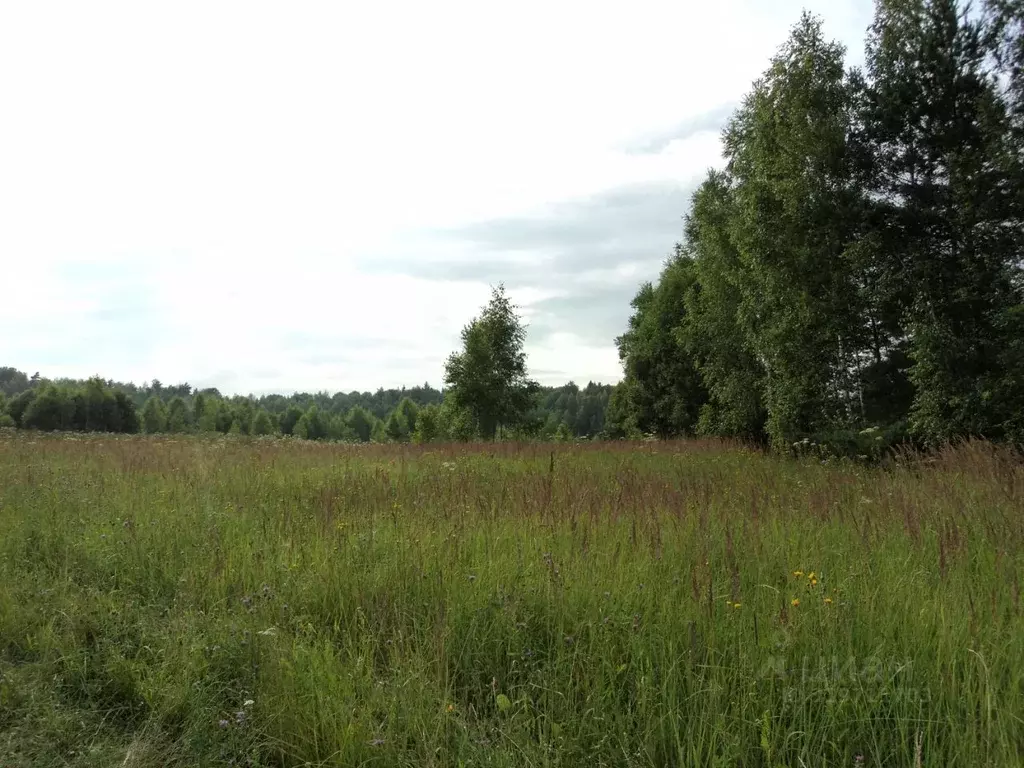 Участок в Калужская область, Медынский район, д. Михальчуково  (7.4 ... - Фото 2