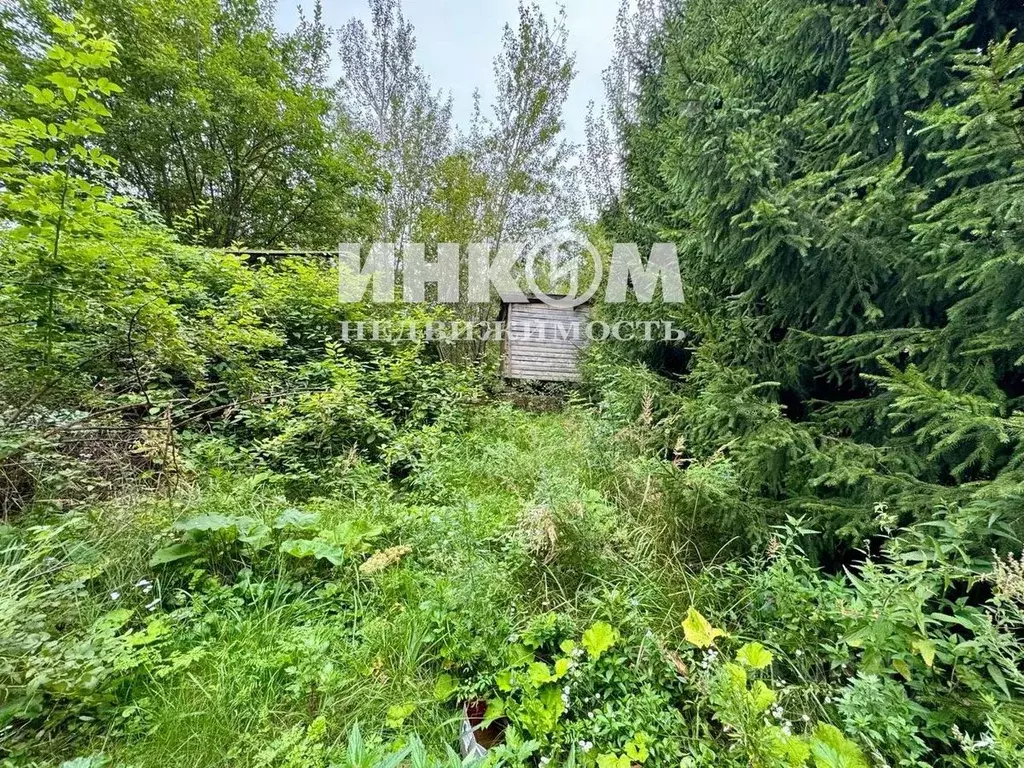 Участок в Москва пос. Совхоза Крекшино, ул. Лесная (15.0 сот.) - Фото 2