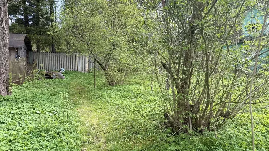 Участок в Ленинградская область, Выборгский район, Рощино городской ... - Фото 1
