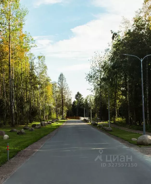 Участок в Ленинградская область, Приозерский район, Сосновское с/пос, ... - Фото 1