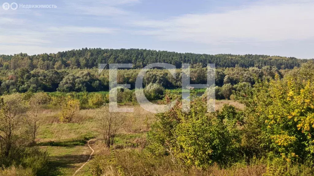 Участок в Тульская область, городской округ Алексин, село Бунырево (15 ... - Фото 1