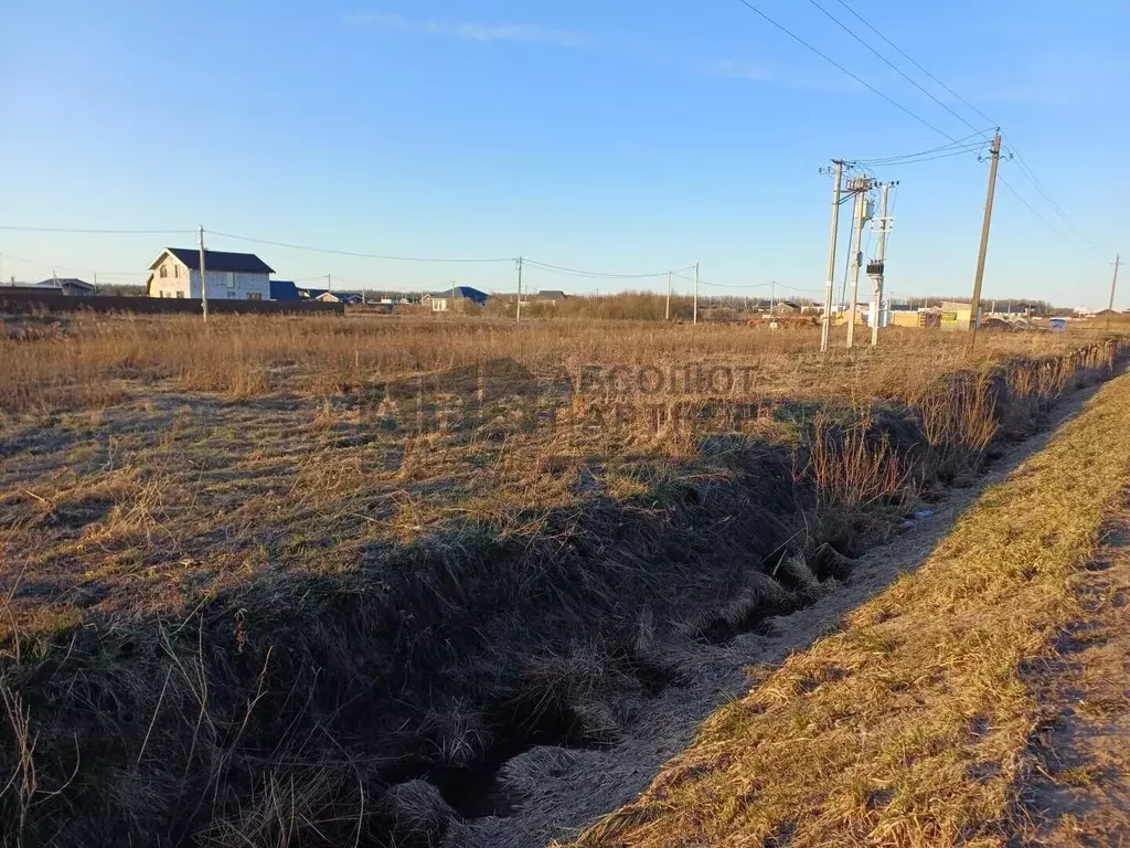 Участок в Новгородская область, Новгородский район, Савинское с/пос, ... - Фото 2