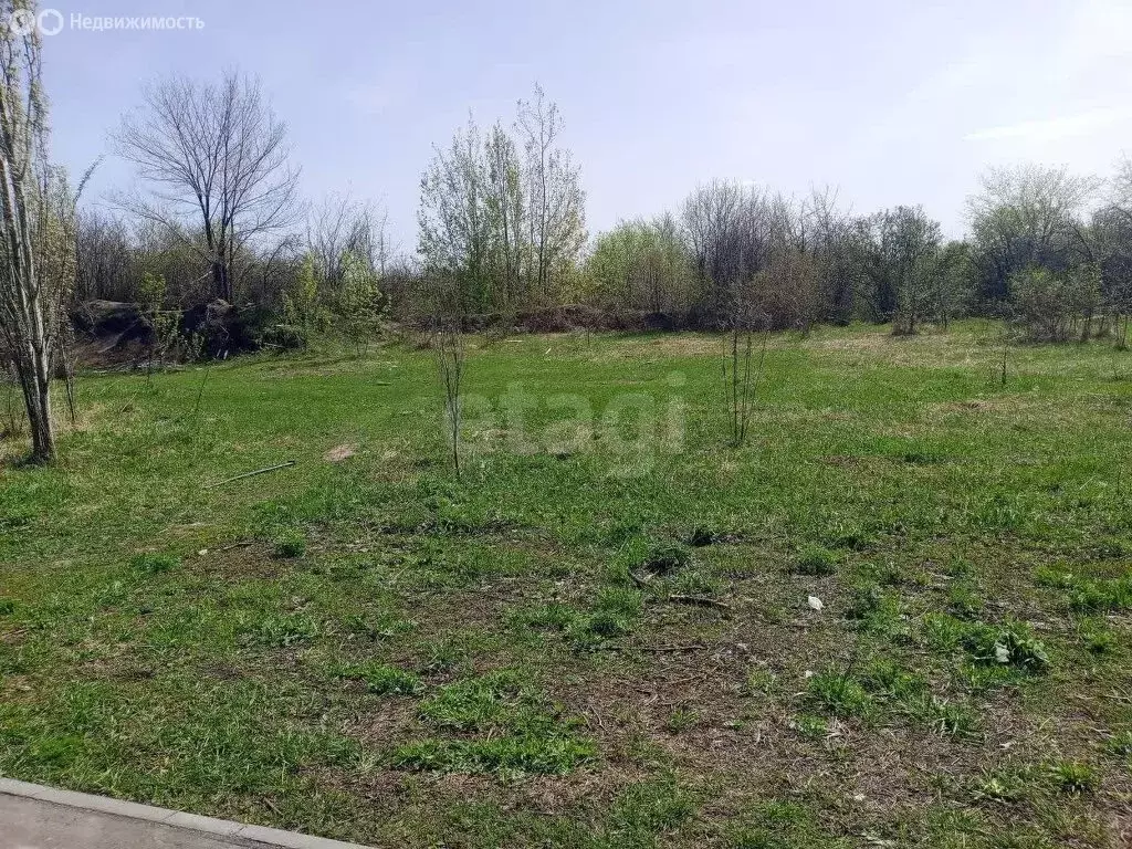 Участок в Ульяновск, СТ Север (308 м) - Фото 1