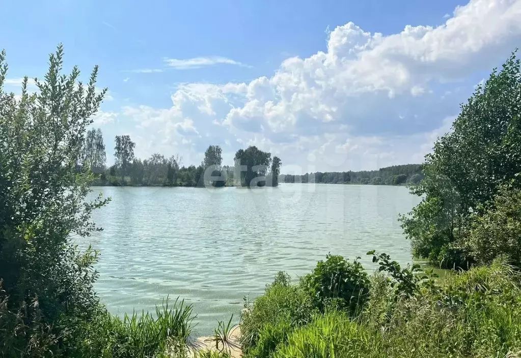 Участок в Владимирская область, Киржачский район, Кипревское ... - Фото 0