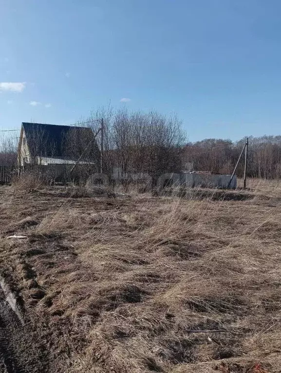 Участок в Вологодская область, Шекснинский муниципальный округ, д. ... - Фото 1