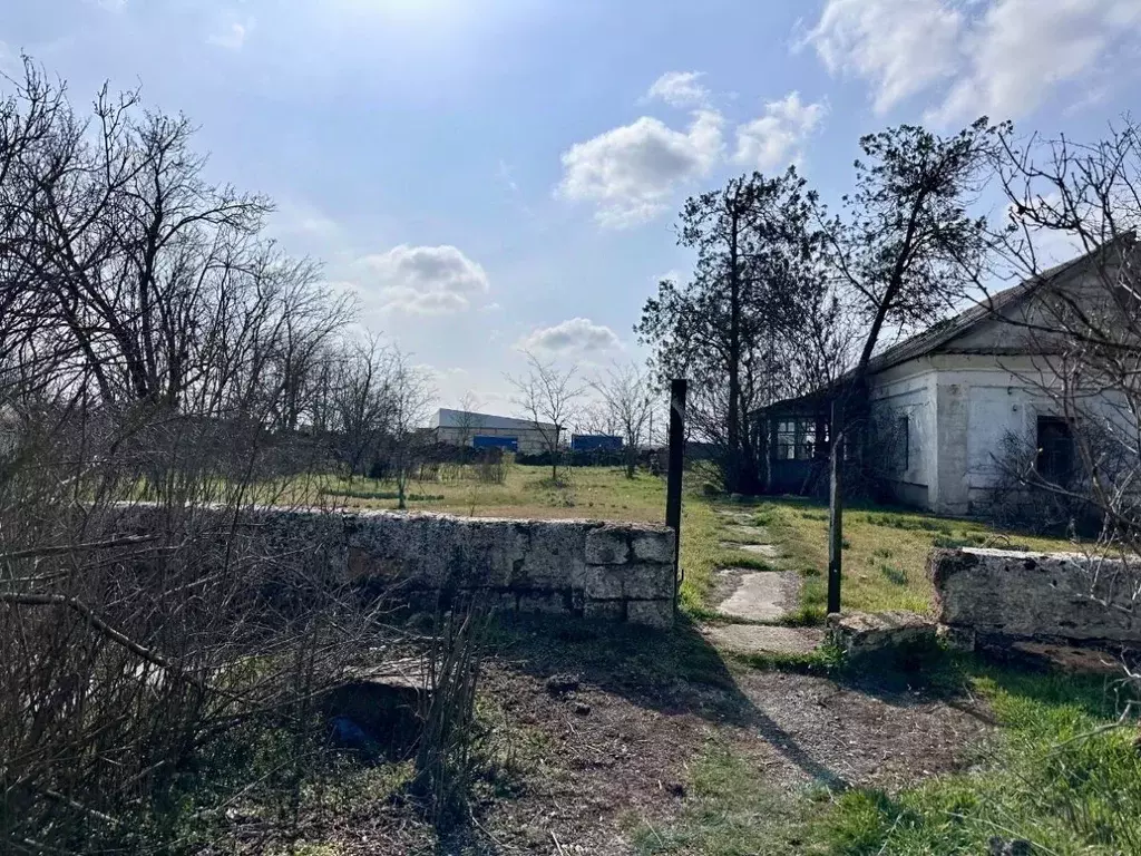 Дом в Крым, Красногвардейский район, Амурское с/пос, с. Новозуевка ул. ... - Фото 1
