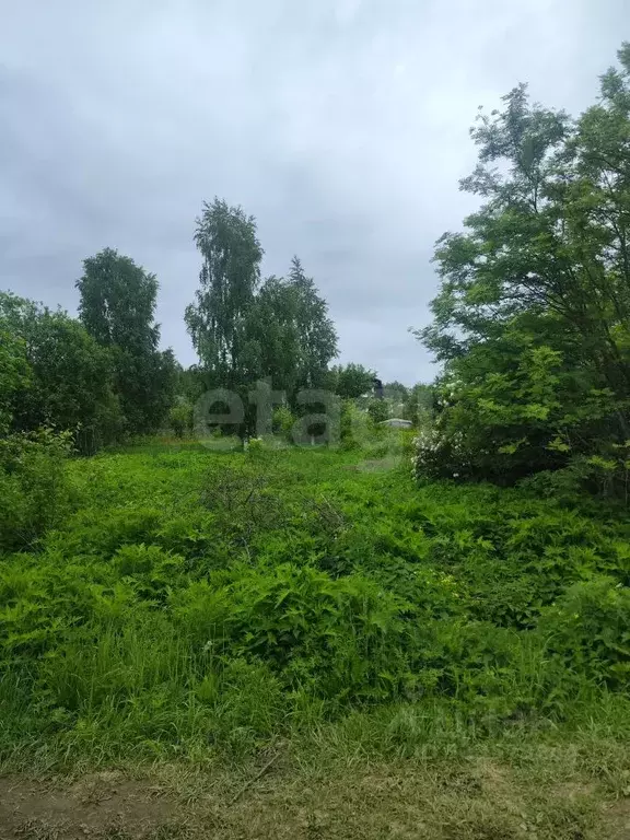 Участок в Костромская область, Кострома Майский СНТ,  (6.0 сот.) - Фото 1
