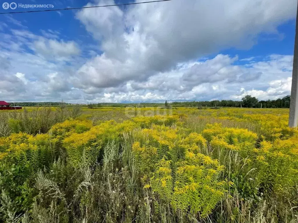 Участок в деревня Кувардино, Береговая улица (14 м) - Фото 1