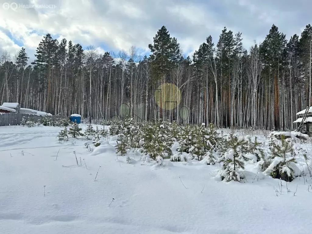 Участок в посёлок Плишкино, ДНТ Будь Здоров, 199 (10 м) - Фото 0