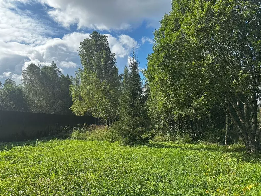 Участок в Московская область, Истра муниципальный округ, д. Троица ул. ... - Фото 1