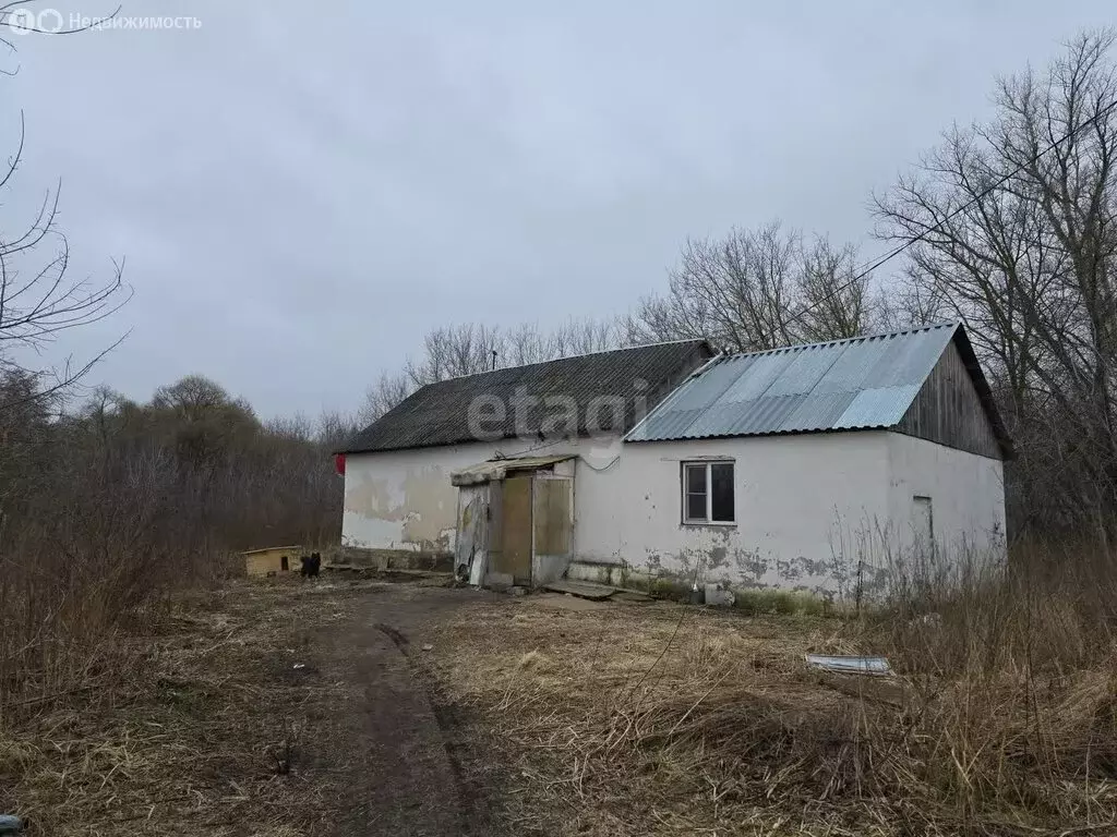 Дом в Чаплыгинский район, Нижняя улица (70 м) - Фото 1