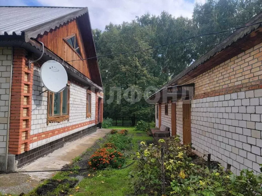 Дом в Новосибирская область, Краснозерский район, Половинский ... - Фото 2
