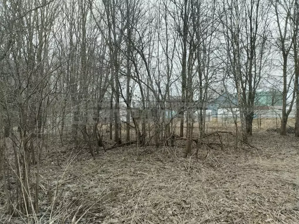 Участок в Смоленская область, Смоленск ш. Рославльское, 7 (11.5 сот.) - Фото 0