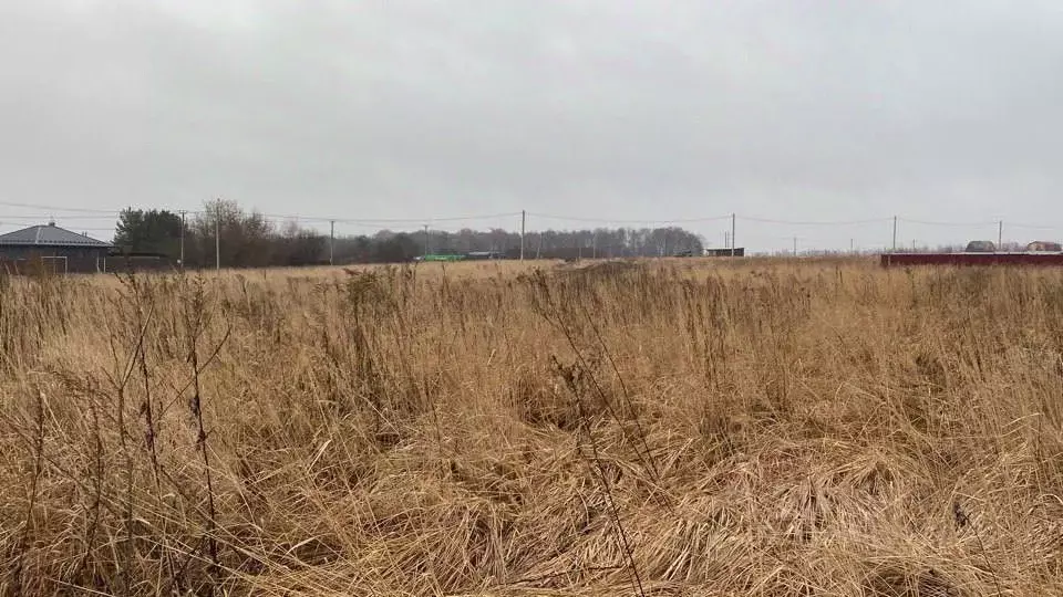 Участок в Московская область, Кашира городской округ, д. Тарасково ... - Фото 0