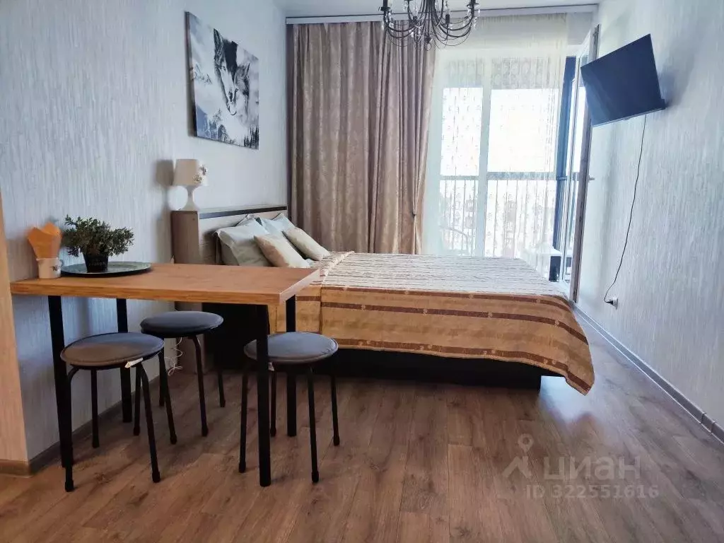 Студия Пермский край, Пермь ул. Сапфирная, 13 (25.0 м) - Фото 2