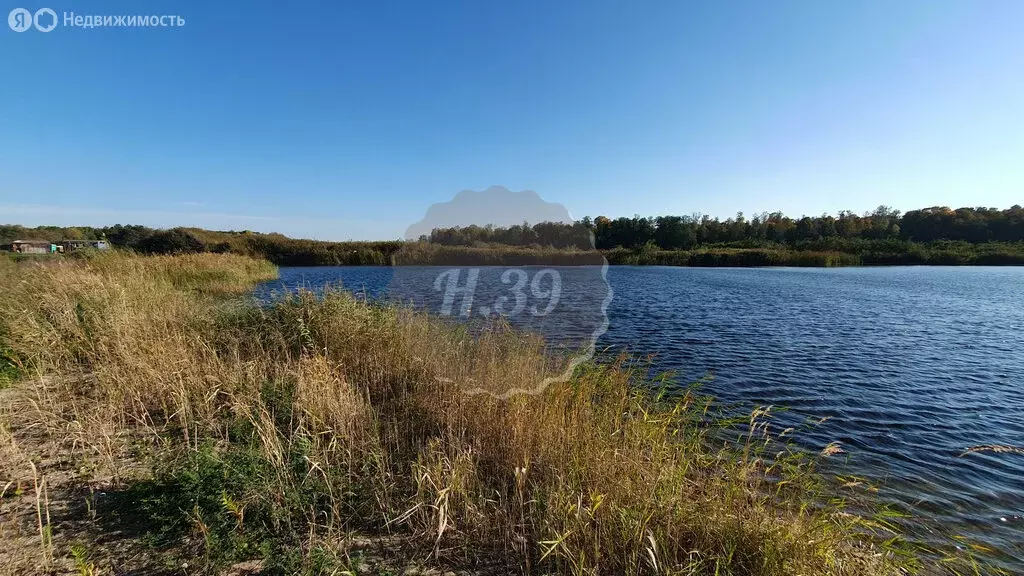 Участок в Калининградская область, Гвардейский муниципальный округ, ... - Фото 1