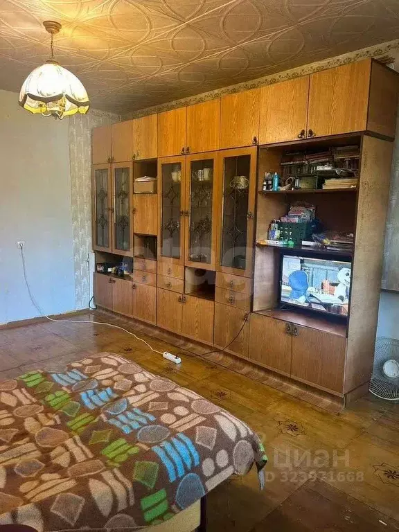 3-к кв. Амурская область, Благовещенск ул. Ленина, 285 (63.6 м) - Фото 2