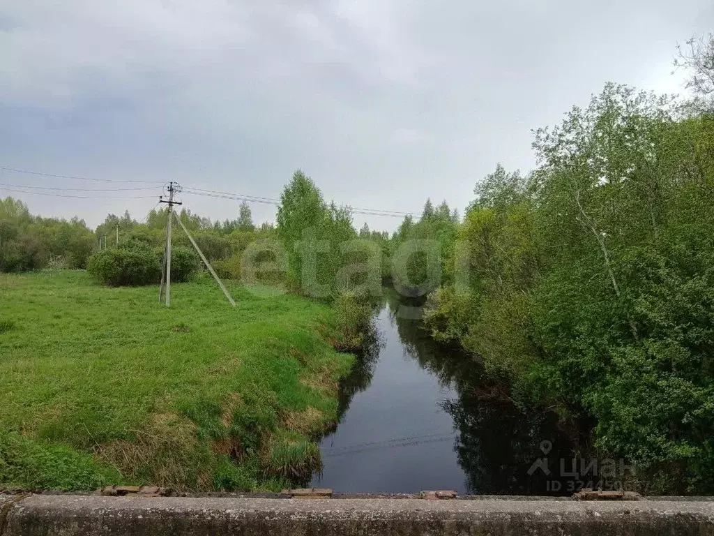 Участок в Ленинградская область, Волховский район, Пашское с/пос, с. ... - Фото 1