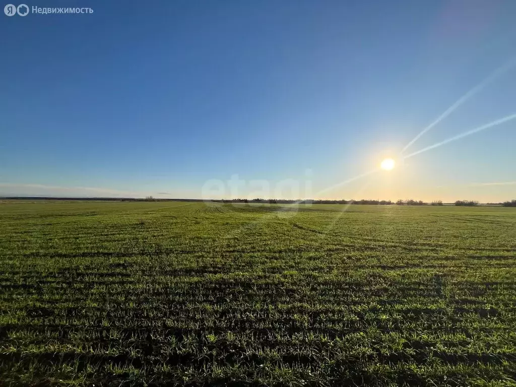 Участок в Сакский район, Ореховское сельское поселение, село ... - Фото 2