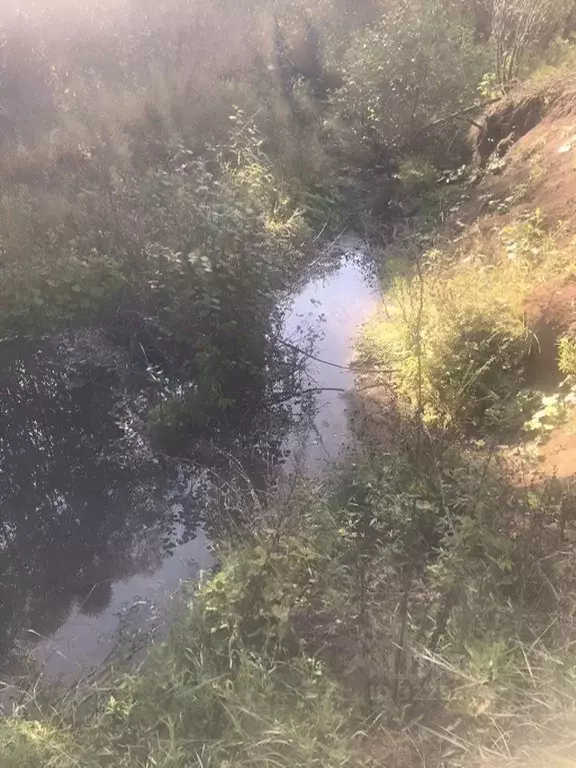 Участок в Свердловская область, Ачитский муниципальный округ, д. ... - Фото 2