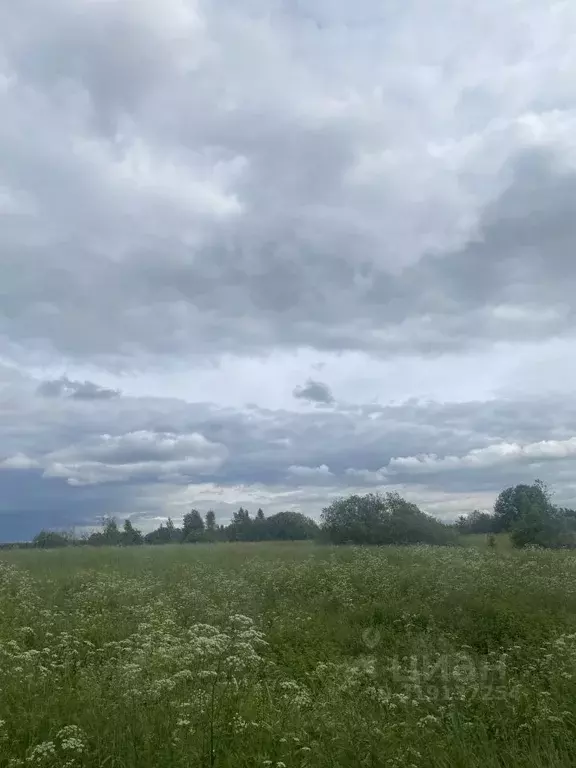 Участок в Новгородская область, Новгородский район, Савинское с/пос, ... - Фото 0